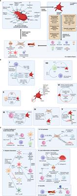 Platelet signaling at the nexus of innate immunity and rheumatoid arthritis